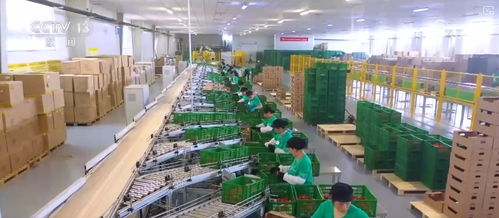 100億 10億 8.7萬(wàn)億 鄉(xiāng)村特色產(chǎn)業(yè)領(lǐng)域拓寬 發(fā)展韌性強(qiáng)