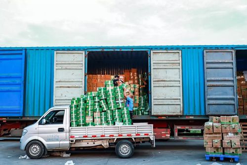 疫情陰影下的無聲群體 他們絕不該被忽視——以博宇佳業(yè)為例